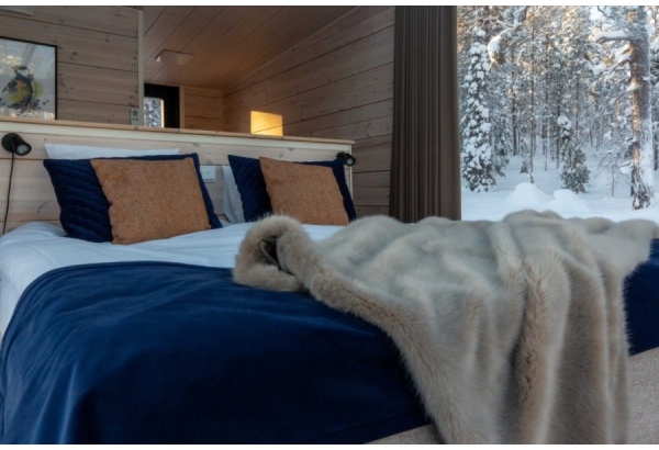 Accommodation in a glass room at the Arctic Skylight Lodge