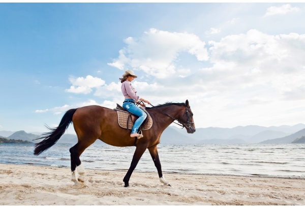 Horse riding along the seashore